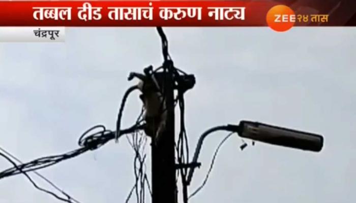 माकडाचं पिल्लू विद्युत खांबावर विजेचा धक्का लागून मृत्युमुखी माकडाचं पिल्लू विद्युत खांबावर विजेचा धक्का लागून मृत्युमुखी
