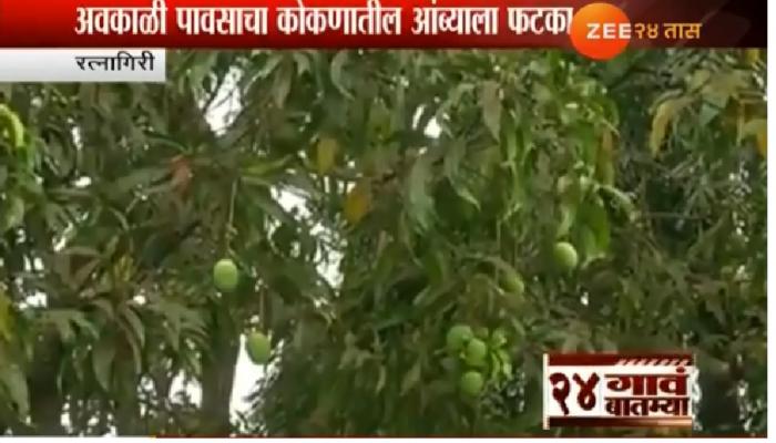 कोकणातील आंब्यांच्या नुकसानीचे पंचनाम्याचे आदेश कोकणातील आंब्यांच्या नुकसानीचे पंचनाम्याचे आदेश