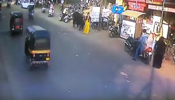 video : बैलाचा महिलेवर हल्ला, सोशल मीडियावर व्हायरल video : बैलाचा महिलेवर हल्ला, सोशल मीडियावर व्हायरल