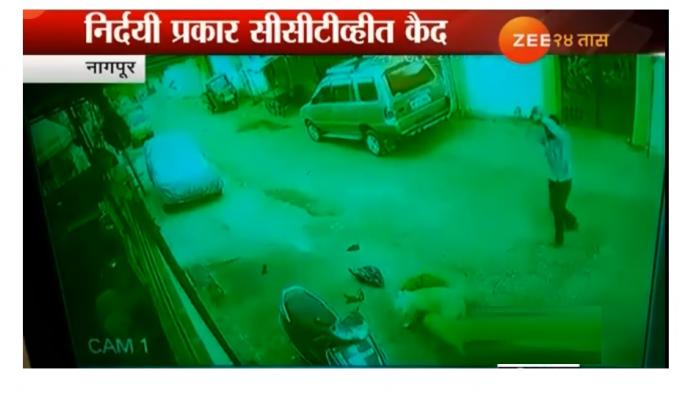 मुक्या प्राण्यांबद्दल असं कधीही वागू नका... मुक्या प्राण्यांबद्दल असं कधीही वागू नका...