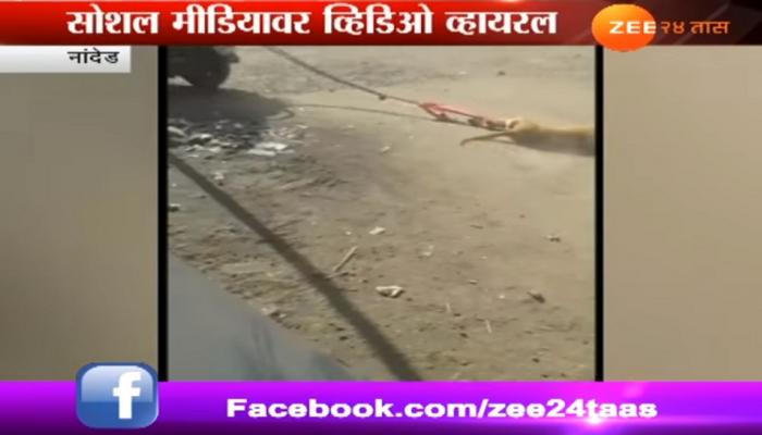 कुत्र्याला फरफटत नेतानाचा क्रूर व्हिडिओ Viral कुत्र्याला फरफटत नेतानाचा क्रूर व्हिडिओ Viral