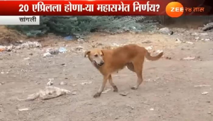 कुत्रा पाळताय? मग ही बातमी नक्की पाहा कुत्रा पाळताय? मग ही बातमी नक्की पाहा
