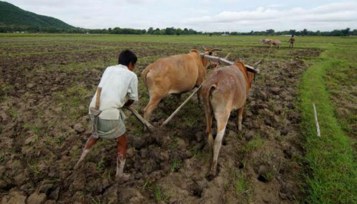 सरकारचं माहीत नाही, पण 'निसर्ग' देणार अच्छे दिनाची अनुभूती सरकारचं माहीत नाही, पण 'निसर्ग' देणार अच्छे दिनाची अनुभूती
