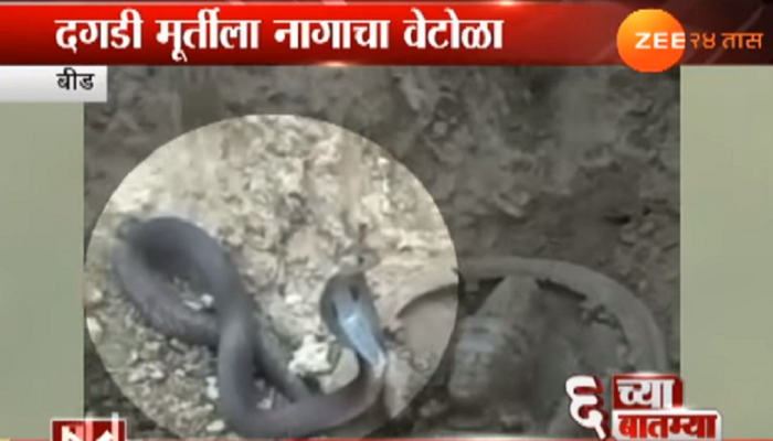 अंधश्रद्धेचा बाजार उठला : स्थानिकांनीच आणून ठेवला होता 'तो' नाग अंधश्रद्धेचा बाजार उठला : स्थानिकांनीच आणून ठेवला होता 'तो' नाग