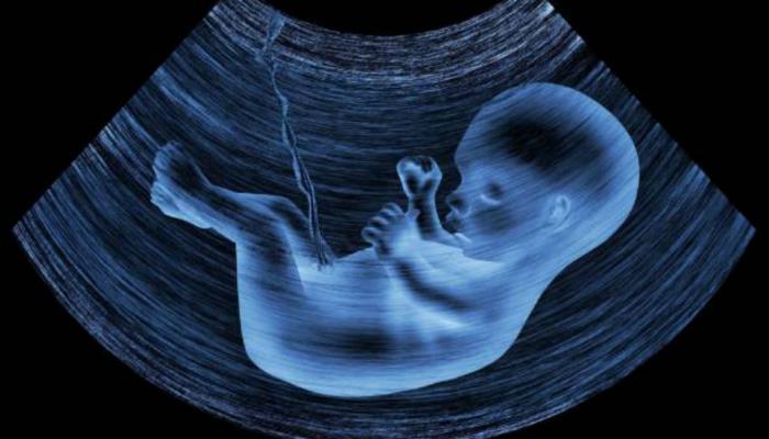 पौर्णिमेला गर्भधारणा, विवाहितेला सासरच्यांकडून मारहाण पौर्णिमेला गर्भधारणा, विवाहितेला सासरच्यांकडून मारहाण