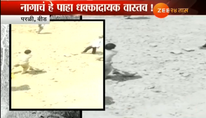 व्हिडिओ : अंधश्रद्धेचा प्रकार उघड झाल्यानंतरही मूर्तीच्या दर्शनासाठी रांगा व्हिडिओ : अंधश्रद्धेचा प्रकार उघड झाल्यानंतरही मूर्तीच्या दर्शनासाठी रांगा