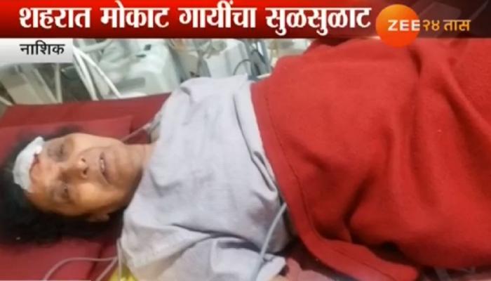 पाच-सहा मोकाट गाईंचा महिलेवर हल्ला पाच-सहा मोकाट गाईंचा महिलेवर हल्ला