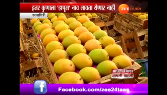 सिंधुदूर्ग | कसा ओळखायचा 'देवगड हापूस आंबा' ? सिंधुदूर्ग | कसा ओळखायचा 'देवगड हापूस आंबा' ?