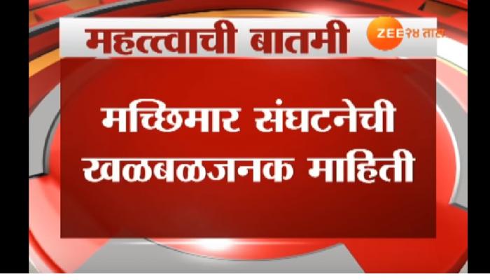 धक्कादायक! मुंबईतले मासे गायब, मासे महागणार धक्कादायक! मुंबईतले मासे गायब, मासे महागणार