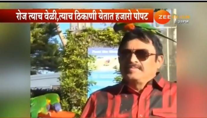 सिडनीत भरते पोपटांची शाळा सिडनीत भरते पोपटांची शाळा